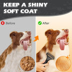 3PCS Pet Grooming Rake & Metal Comb & Flea Comb - Image 6