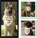 Engagement Gifts My Humans are Getting Married! SHE Said Yes! Pet Bandana Scarf - Image 5