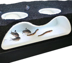 Aquarium Underground Tunnel Cave Natural Curve Two Hole | Viewing Fish & Shrimp by LuckyCritterCo
