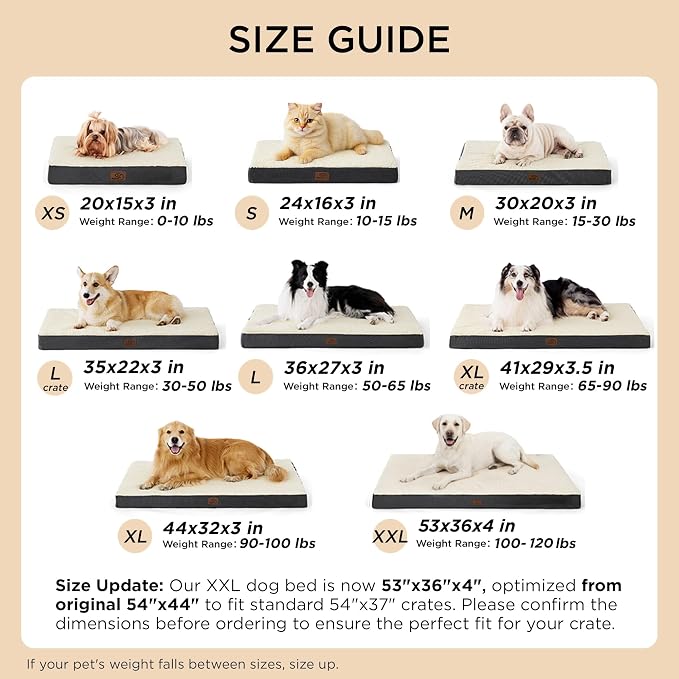 Bedsure Dog Beds Large Sized Dog - Image 7