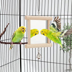 Hypeety Pet Bird Mirror with Bell Interactive Parrot Toy - Image 5