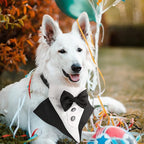 Segarty Formal Dog Tuxedo Bandana Dog Wedding Attire, Adjustable Collar - Image 8