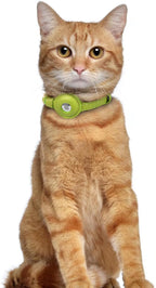 OOPSDOGGY Leather AirTag Cat Collar - Image 6