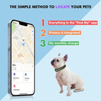 2-in-1 GPS Tracker for Dogs: Smart Collar - Image 5