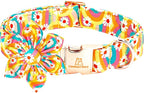 Lionheart glory Dog Collar by LionheartGlory