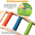 Hamiledyi Nature Wooden Bird Ladder Pet Parrots Climb Bridge Exercise Stands - Image 6