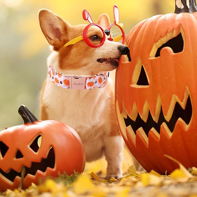 Unique style paws Dog Collar Metal Buckle Collar - Image 4