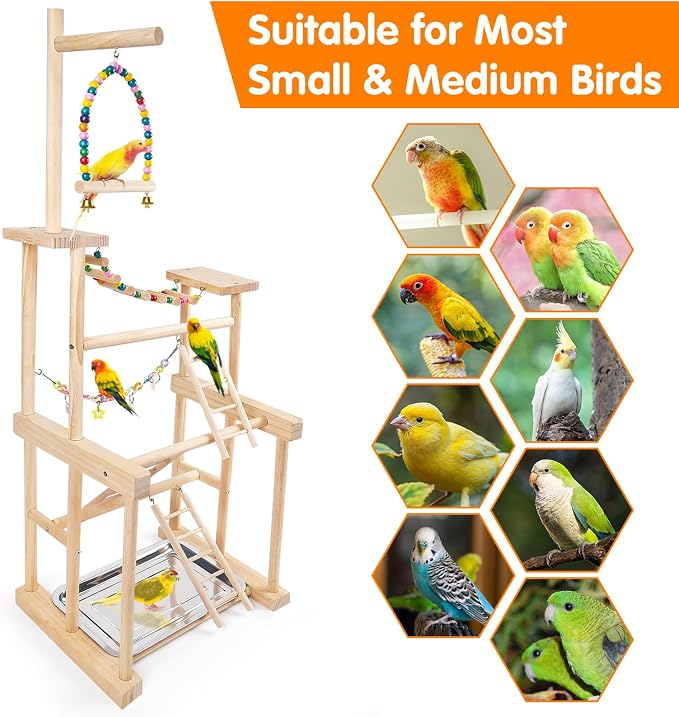 Bird Playground 4 Layer, Parrot Perch Stand Bird Play Stand - Image 7