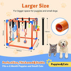 Puppy Play Gym for Small Dogs - Image 2