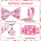 KOOLTAIL Spring Cat Collar - Image 4