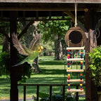 Hanging Coconut Birds House - Image 7