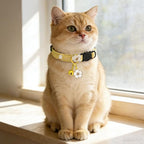 2 Pack Cotton Breakaway Cat Collars Set - Image 5
