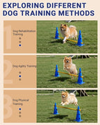 Dog Agility Course Backyard Set, Dog Agility Hurdle Cone Set - Image 3