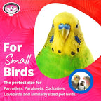 Super Bird Creations SB971 Xmas Crinkle Little Star Bird Toy, Small Bird Size - Image 3