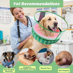 Inflatable Dog Cone with Anti-Licking Clear Shield, Protective Dog Donut Collar - Image 6