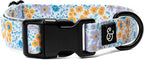 Lucy & Co. Among The Wildflowers Dog Collar by LucyCo