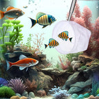 2 Pcs Small Fish Tank Cleaner Brush - Image 4