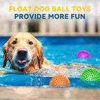 SHARLOVY 3.5” Large Dog Toys Ball, 6 Pack Squeaky oys, Durable - Image 8