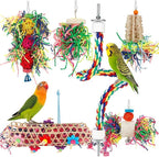 Foraging Bird Toys by lovyoCoCo
