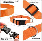 Dog Collar Orange Basic Adjustable Dog Collars - Image 3