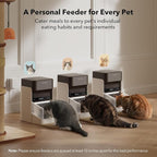 Bundle of PETLIBRO Upgraded RFID Automatic Cat Feeder, 2 Packs 5G Wi-Fi - Image 4
