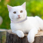 Weewooday 4 Pieces Rhinestones Cat Collars Breakaway Cat Collar - Image 5