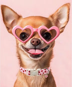 Valentine's Dog Collar, UP URARA PUP Pink Love Heart Adjustable Pet Collar - Image 6
