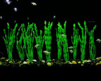 MyLifeUNIT Artificial Seaweed Water Plants - Image 5