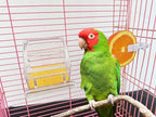 4 Pack Bird Feeders for Cage No Mess Parakeet Food Bowl - Image 6