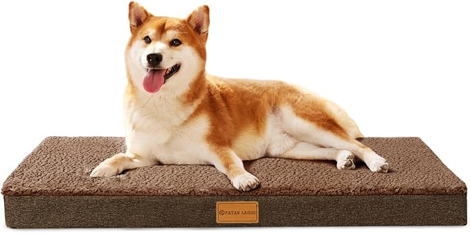 Patas Lague Orthopedic Dog Bed Large Sized Dog 36''X24'', Soft Waterproof Egg by PatasLague