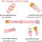 Nylon Dog Collar - Image 4