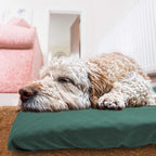 Dog Bed Cover Waterproof Replacement Machine Washable Covers - Image 7