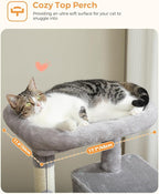 Cat Tree for Large Cats Adult - Image 4