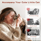 Pawaboo Feather Teaser Cat Toy - Image 6