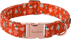 Unique style paws Dog Collar Metal Buckle Collar by Uniquestylepaws