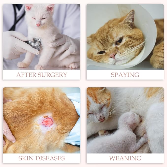 ANWA Cat Recovery Suit - Image 6