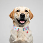 Adjustable Summer Dog Collar, Cute Watermelon Dog Collars - Image 2