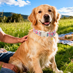 DOGWONG Spring Flower Dog Collar-Cute Floral Daisy Dog Collar, Adjustable Soft - Image 5
