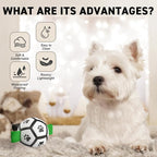 QDAN Small Dog Toys, Puppy Balls, Dog Balls - Image 6
