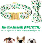 MR. CHUBBYFACE St.Patrick's Clover Dog Collar - Image 3