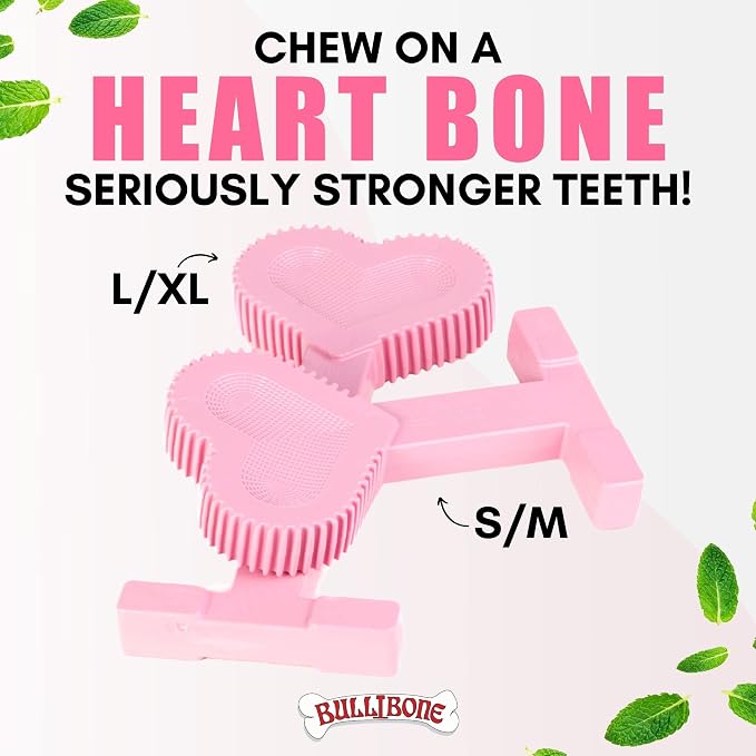 Bullibone Nylon Dog Chew Toy for Aggressive Chewers - Image 3