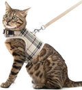 PUPTECK Soft Mesh Cat Vest Harness and Leash Set Puppy Padded Pet Harnesses by PUPTECK