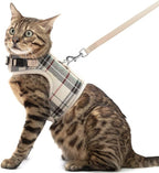 PUPTECK Soft Mesh Cat Vest Harness and Leash Set Puppy Padded Pet Harnesses by PUPTECK
