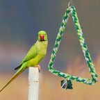 Wontee Bird Swing Bird Rope Perch Parrot Climbing Stand - Image 7