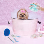 6Pcs Silicone Pet Grooming Set: Bath Massage Dispenser Brush, Finger Toothbrush - Image 5