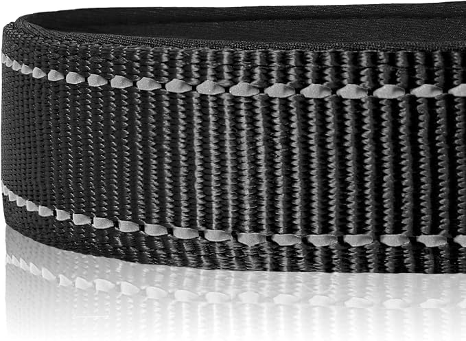 Joytale Reflective Dog Collar, Soft Neoprene Padded, Metal D-Ring, Nylon Pet - Image 4