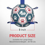 QDAN Large Dog Toys, 8 Inch Durable Balls - Image 8