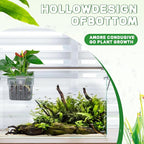 2PCS Aquarium Plant Holder - Image 6