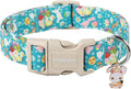 DOGWONG Easter Dog Collar, Cute Flower Bunny Eggs Dog Collar Pink Pet Collar by DOGWONG