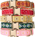 Woven Dog Collar with Metal Buckle Adjustable Jacquard Retro Dog Collars - Image 8
